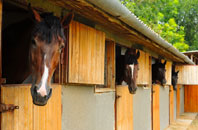 free Esh Winning stable construction quotes